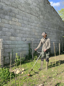 Photo de galerie - Debrousailleuse 