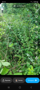 Photo de galerie - Avant
 