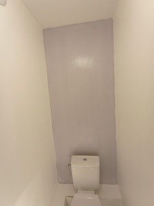 Photo de galerie - Rénovation de la peinture de wc  