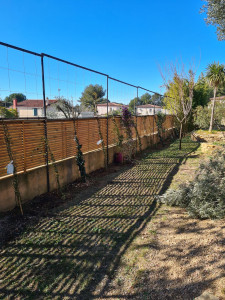 Photo de galerie - Paysagiste - Aménagement du jardin