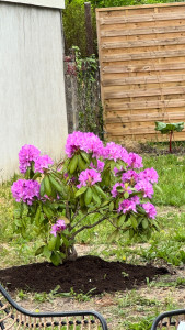 Photo de galerie - Paysagiste - Aménagement du jardin
