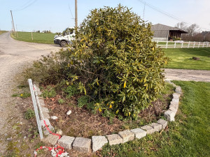 Photo de galerie - Paysagiste - Aménagement du jardin