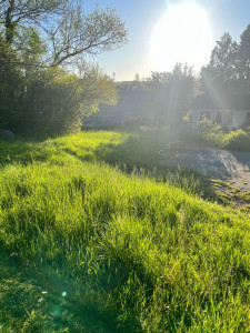 Photo de galerie - Tonte herbe très haute 50-60cm au plus haut AVANT