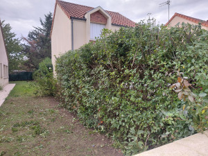 Photo de galerie - Apres