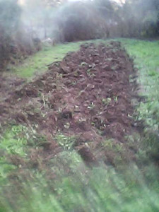 Photo de galerie - Labour de terrain en cours