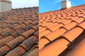 Photo de galerie - Nettoyage toiture produit anti mousse plus hydrofuge et delep 2100 