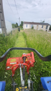 Photo de galerie - Tonte de pelouse - Débroussaillage