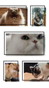 Photo de galerie - Garde chat