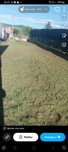 Photo de galerie - Coupe de haie et debrouissaillage et tonte 