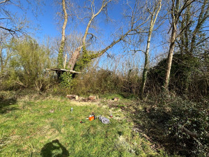 Photo de galerie - Après l’abattage de l’arbre tombé avec la tempête