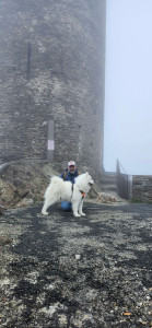 Photo de galerie - Garde chien