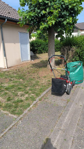 Photo de galerie - Tonte de pelouse - Débroussaillage