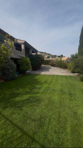 Photo de galerie - Tonte régulière pour ce jardin entretenue à l’année 