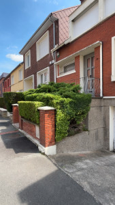 Photo de galerie - Taille de haies et d'arbustes