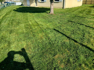 Photo de galerie - Tonte sur la commune de Langon 