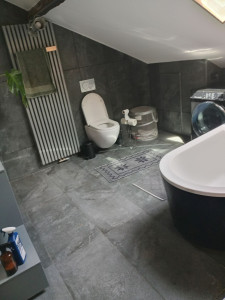 Photo de galerie - Nettoyage des toilettes,  aspirateur, poussière .