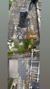 Photo de galerie - Couverture - Toiture