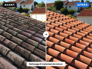 Photo de galerie - Nettoyage & traitement de toiture