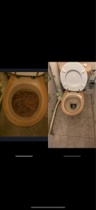 Photo de galerie - Débouchage colonne 