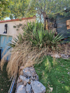 Photo de galerie - Tonte de pelouse - Débroussaillage