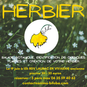 Photo de galerie - Proposition d'animation