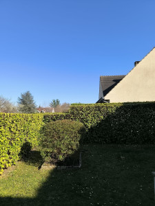 Photo de galerie - Taille en tous genres 