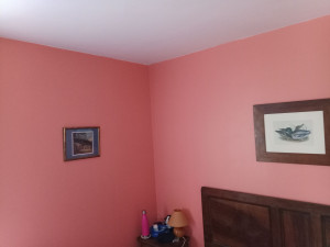 Photo de galerie - Peinture murs et plafond 