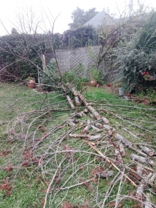 Photo de galerie - Ce même sapin débité en 30 cm