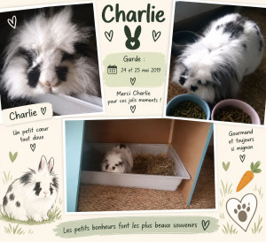 Photo de galerie - Visite de Charlie 