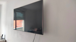 Photo de galerie - Pose d'une TV au mur (placo)
