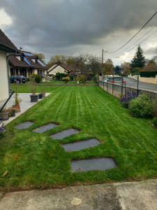 Photo de galerie - Réalisation de la tonte avec ramassage 