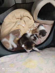 Photo de galerie - Juillet 2025