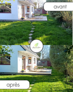 Photo de galerie - Tonte de pelouse