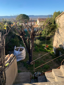 Photo de galerie - Après élagage 