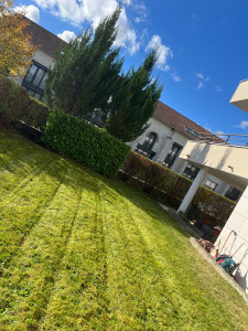 Photo de galerie - Taille de haie plus tonte pour remise en état avant mise en vente 