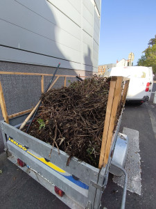 Photo de galerie - Évacuation de déchets verts chez une cliente qui a procédé elle-même à l'entretien mais ne disposant pas des ressources nécessaires pour se rendre à la déchetterie