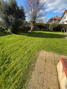 Photo de galerie - Tonte de pelouse ✅