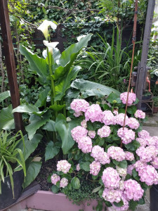 Photo de galerie - .