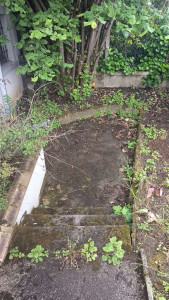 Photo de galerie - Ménage
