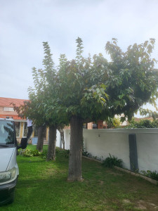 Photo de galerie - Avant notre passage