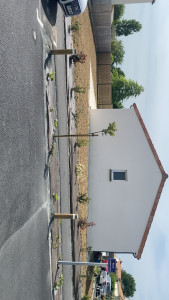 Photo de galerie - A