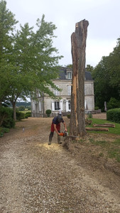 Photo de galerie - Abbatage 