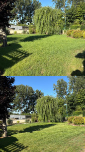 Photo de galerie - Première tonte après avoir semé