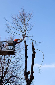 Photo de galerie - La cliente satisfaite de mon travail, reparti et consoler