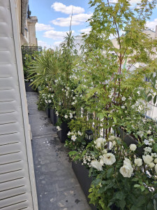 Photo de galerie - Paysagiste - Aménagement du jardin