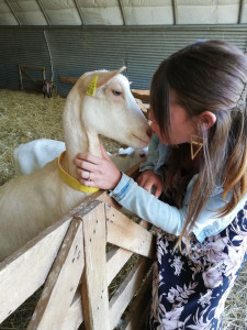 Photo de galerie - Les animaux sont ma passion
