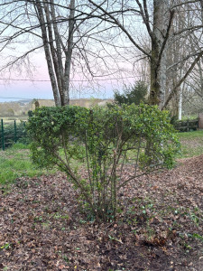 Photo de galerie - Jardinier