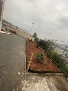 Photo de galerie - Paysagiste - Aménagement du jardin