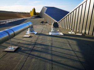 Photo de galerie - Ramonage - Fumiste