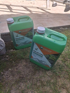 Photo de galerie - Application du dAlep après le nettoyage au karcher